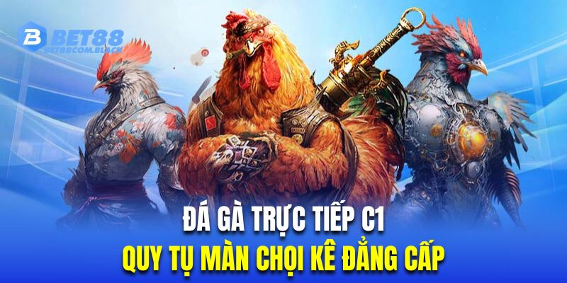 Đá Gà Trực Tiếp C1 | Màn Đấu Đẳng Cấp Giới Chọi Kê